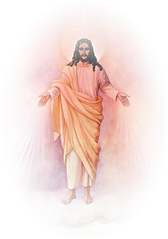 Mercy Christ Heart Jesus Sacred Divine Transparent PNG Image