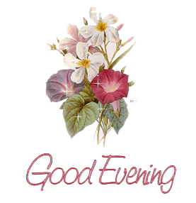 Good Evening Png Transparent PNG Image