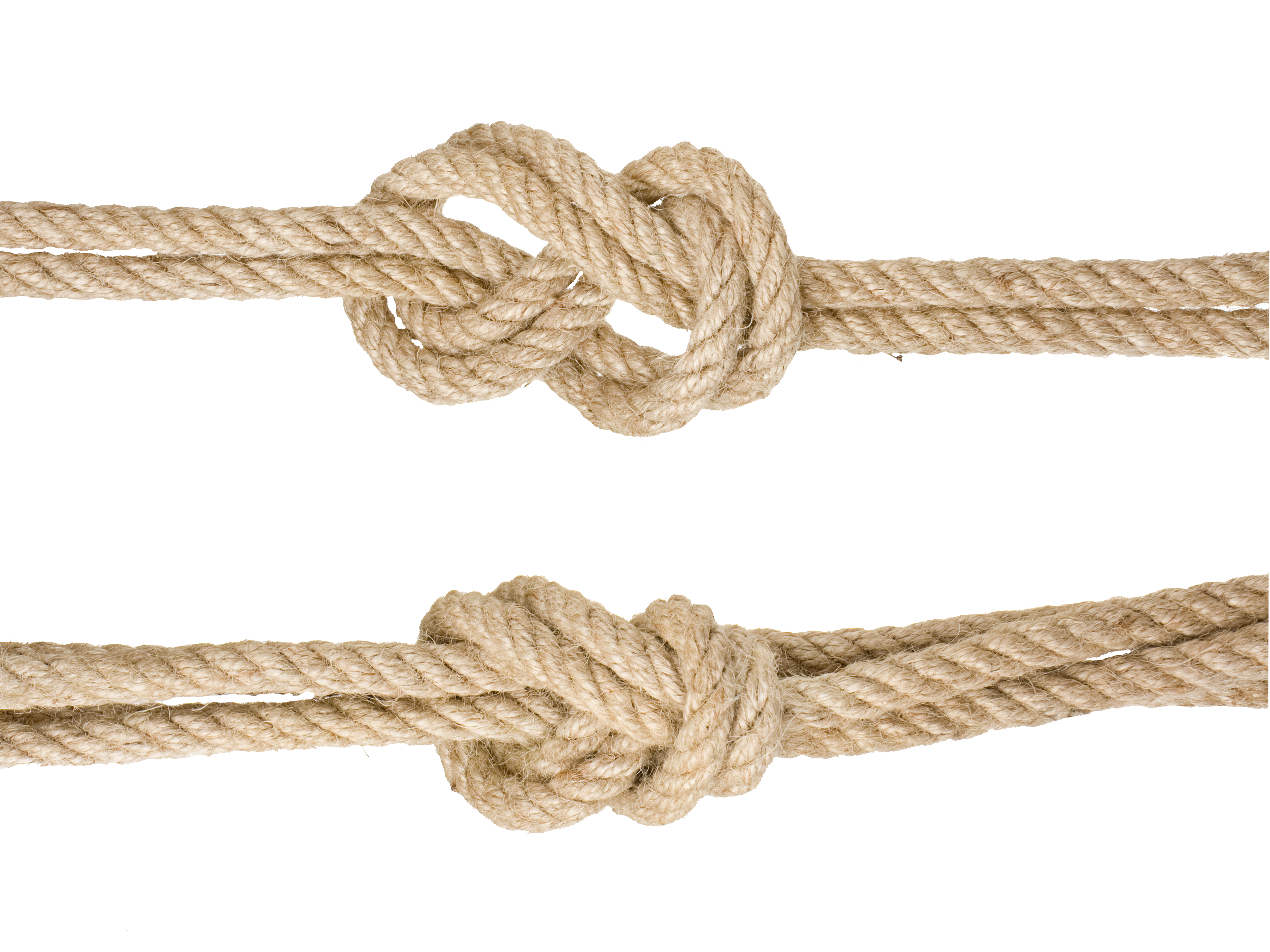 Google Knotted Rope Knot Images Hemp Transparent PNG Image