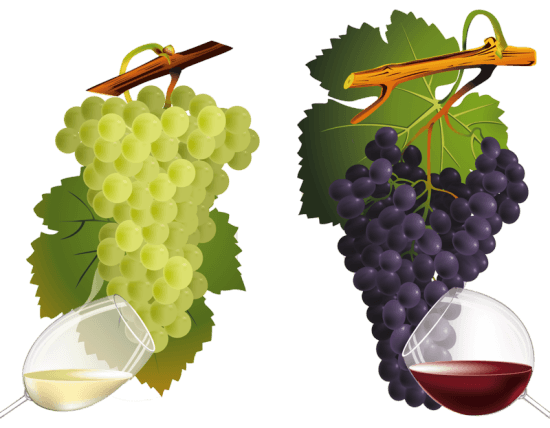 Grape Png Image Download Picture Transparent PNG Image