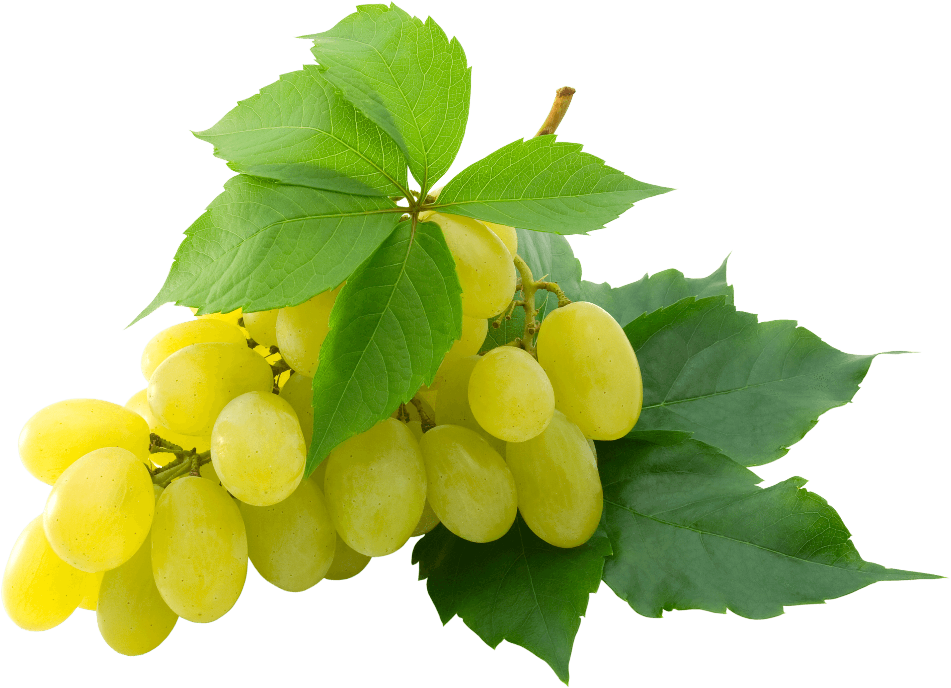 Grape Png Image Transparent PNG Image