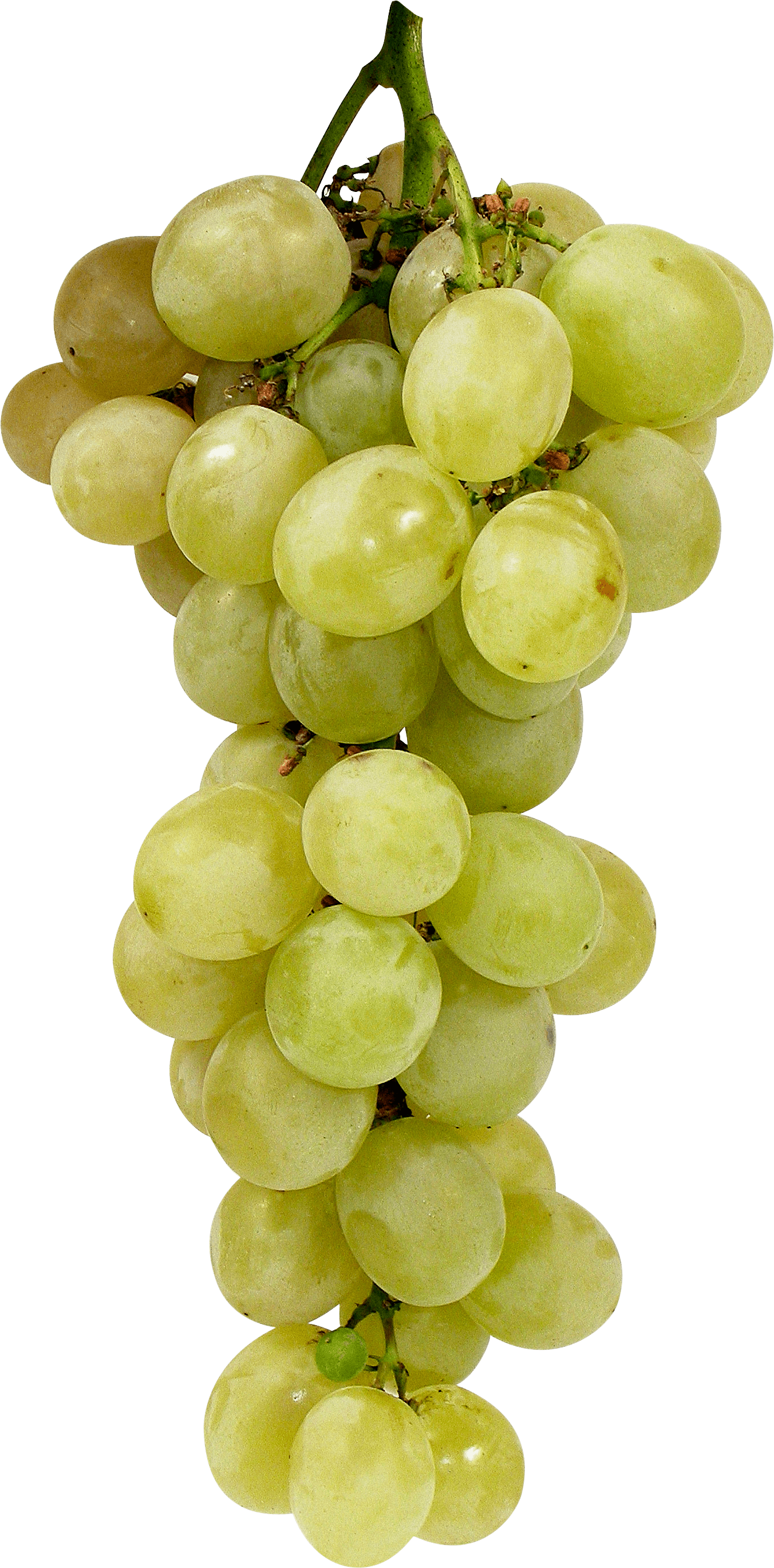 Green Grape Png Image Transparent PNG Image