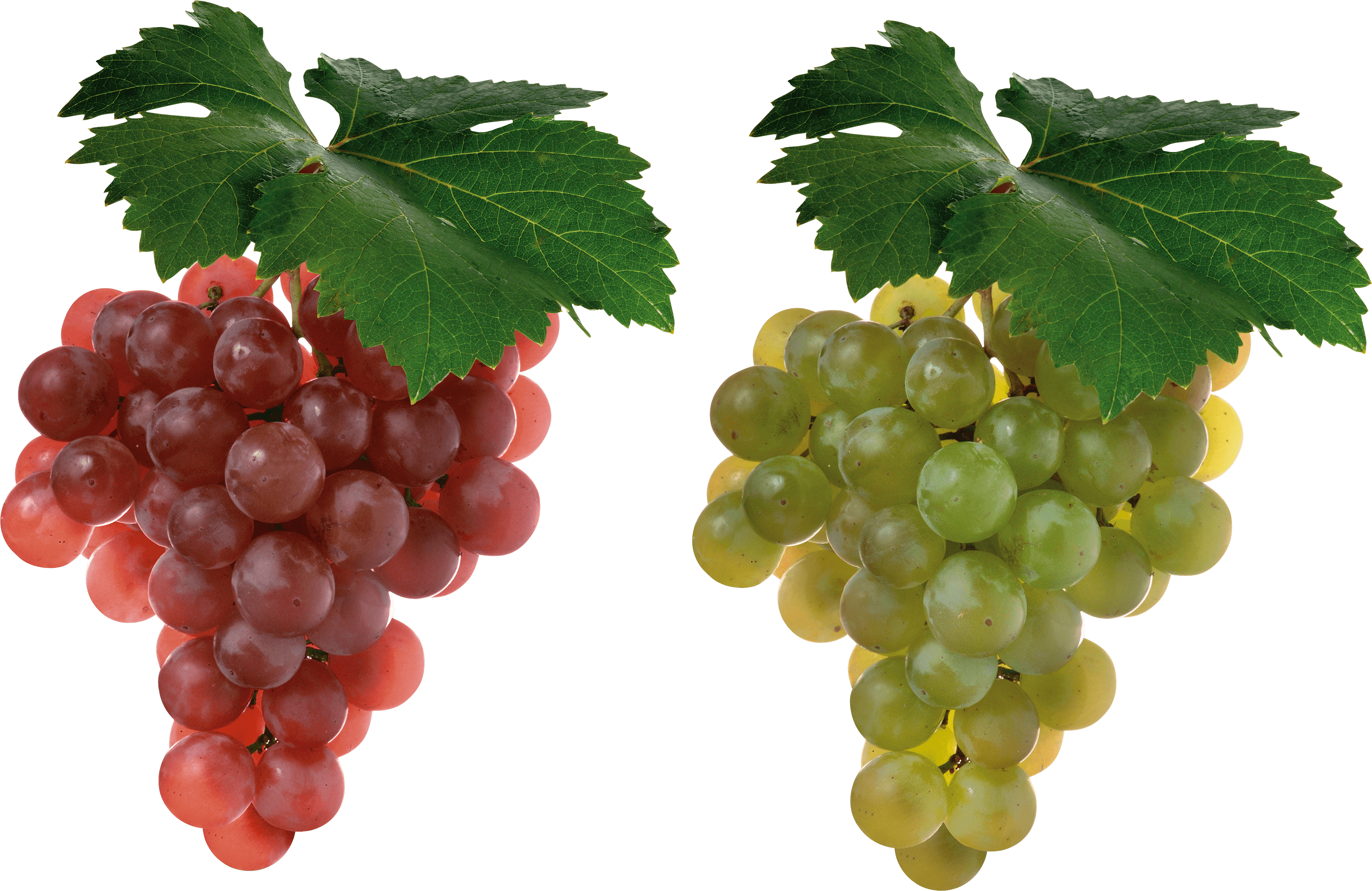 Grape Png Image Transparent PNG Image