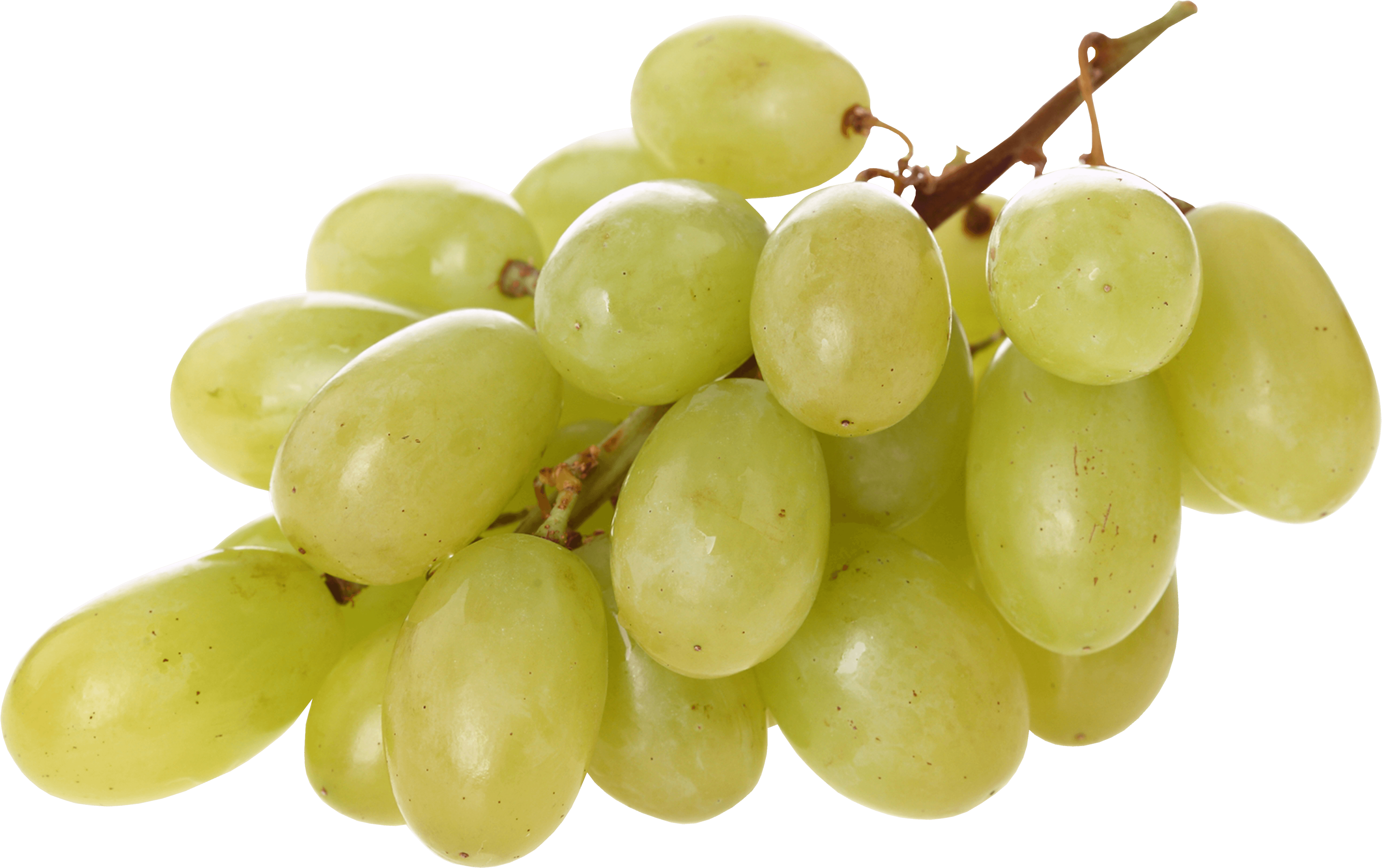 Grape Png Image Transparent PNG Image