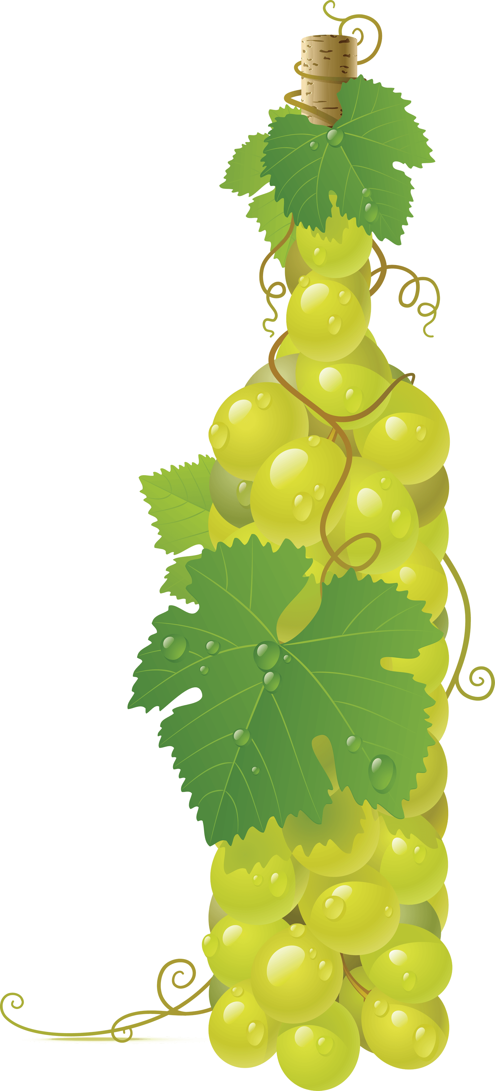 Green Grape Png Image Transparent PNG Image