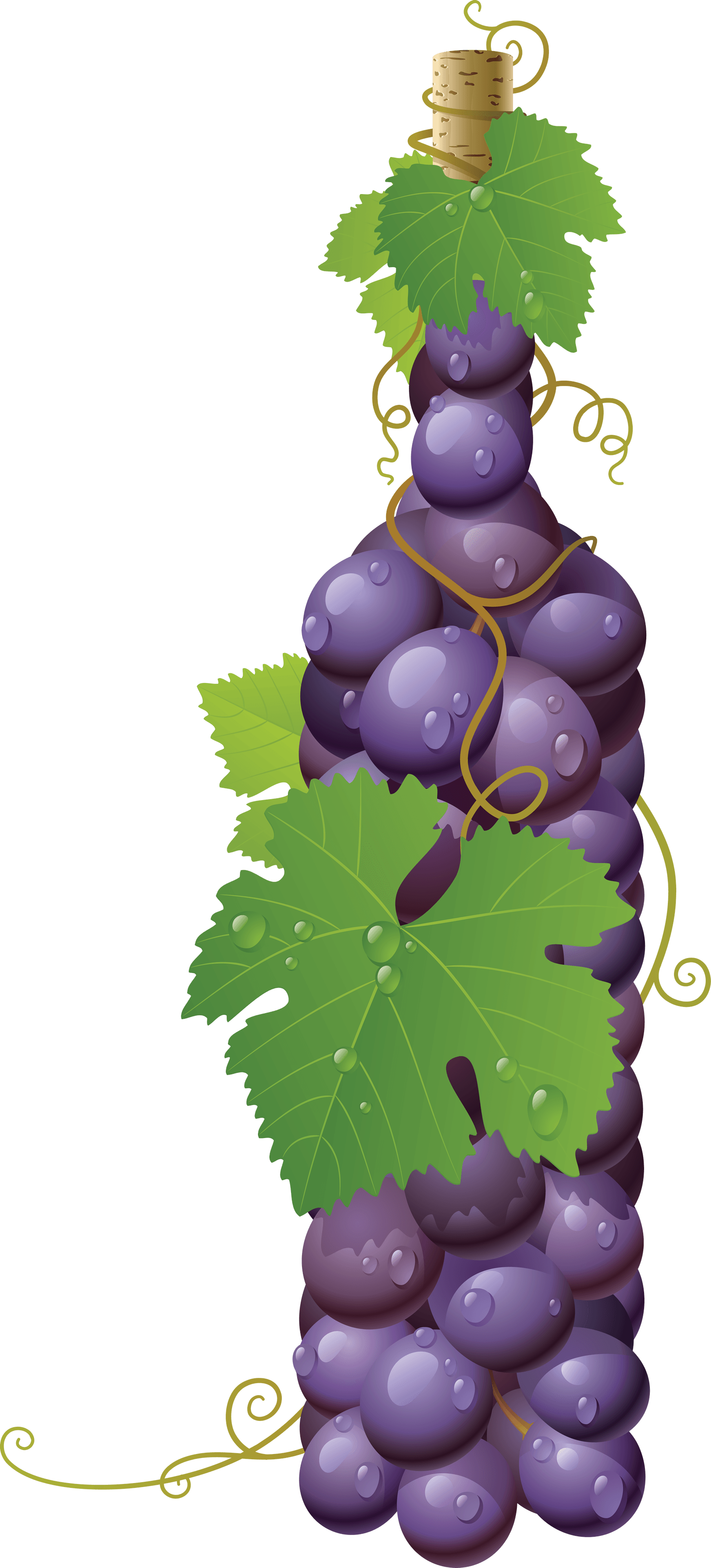 Grape Png Image Transparent PNG Image