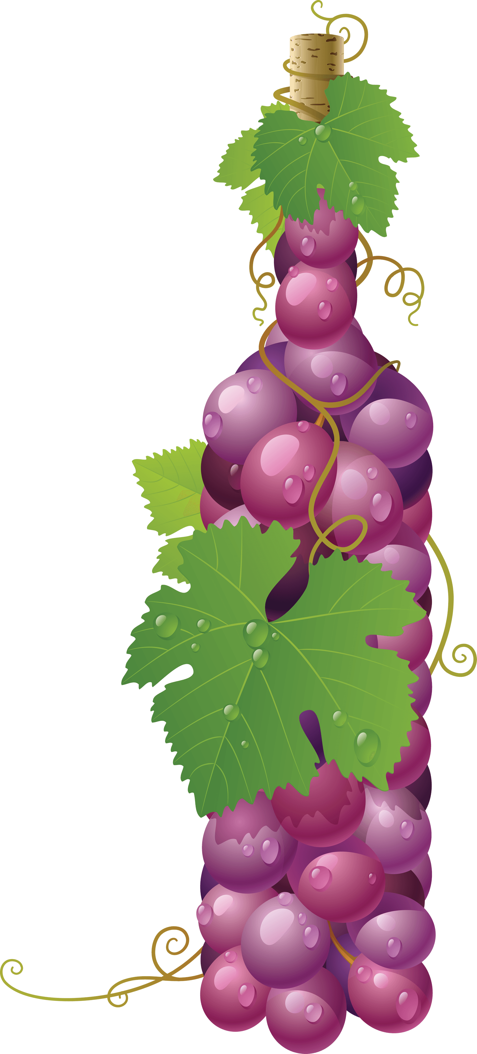 Red Grape Png Image Transparent PNG Image