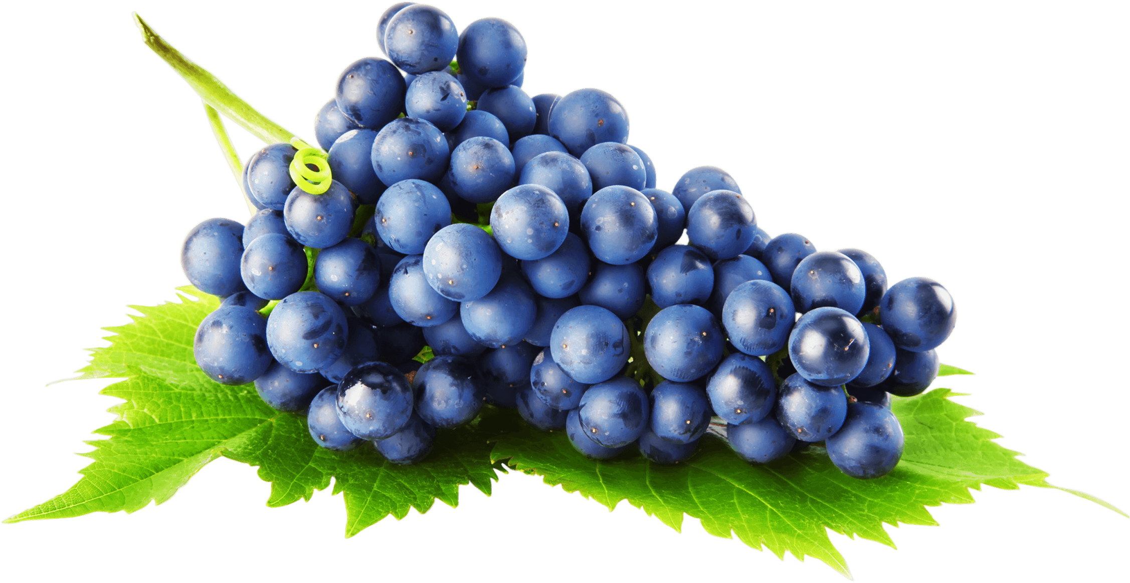 Grape Png Image Transparent PNG Image