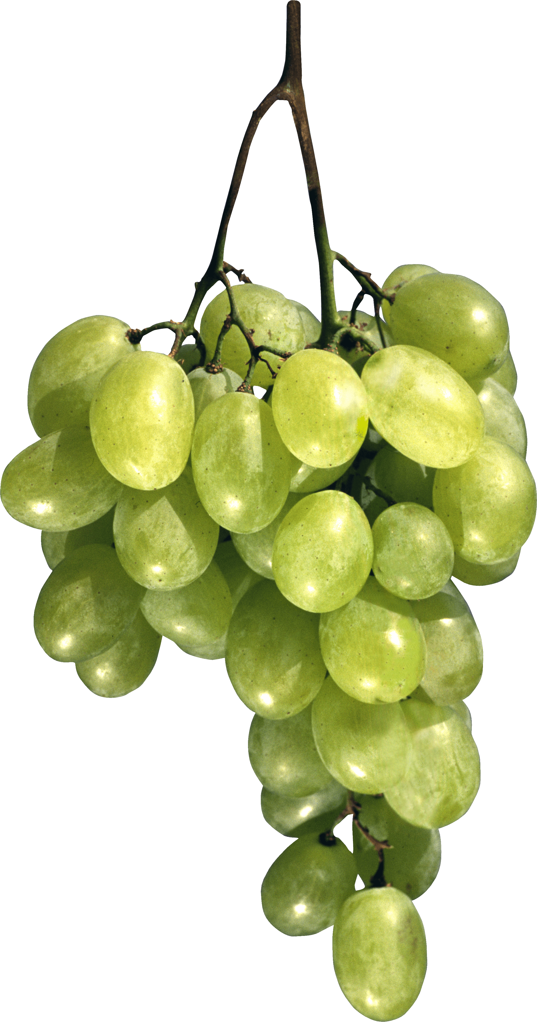 Green Grape Png Image Transparent PNG Image