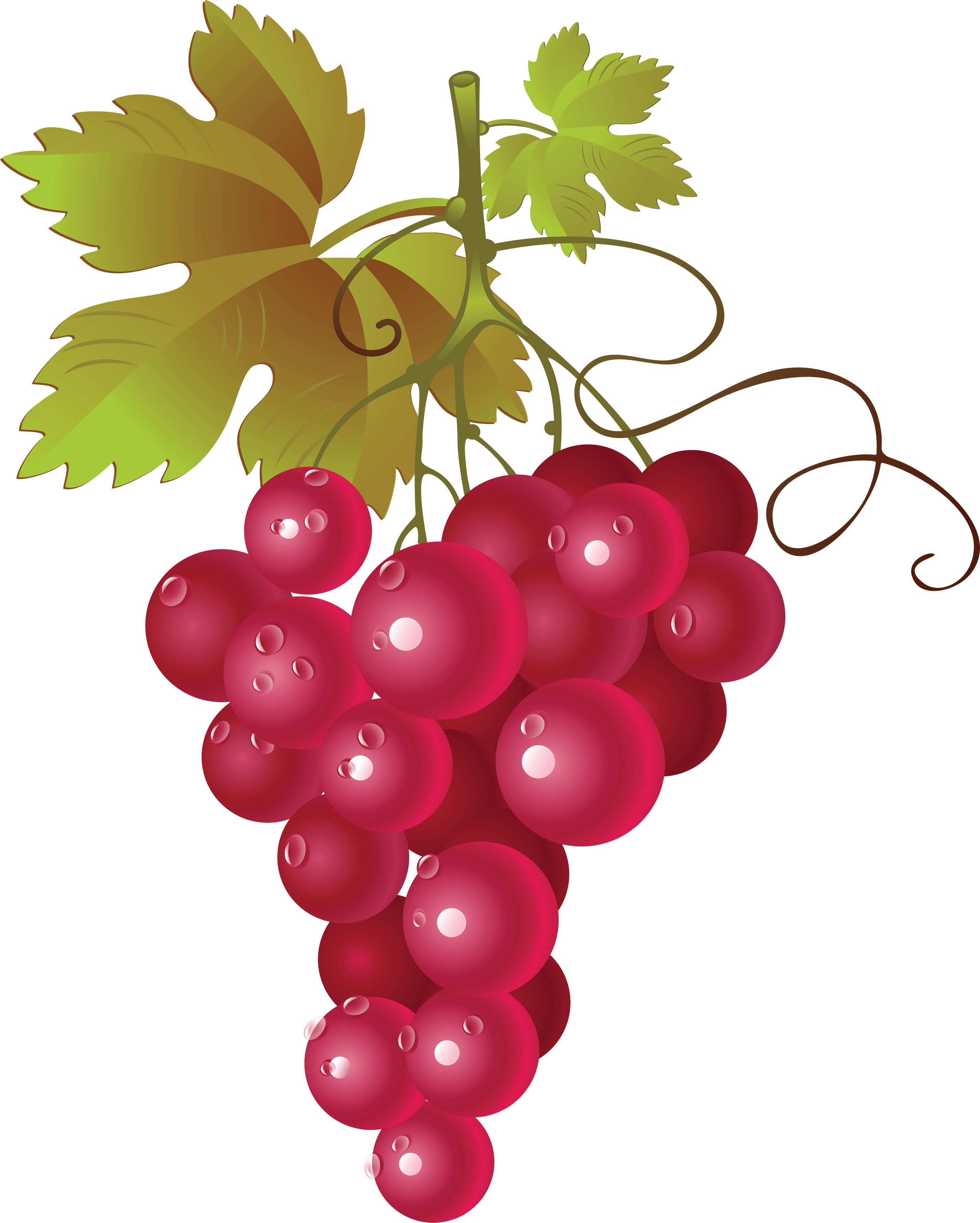 Grape Png Image Transparent PNG Image