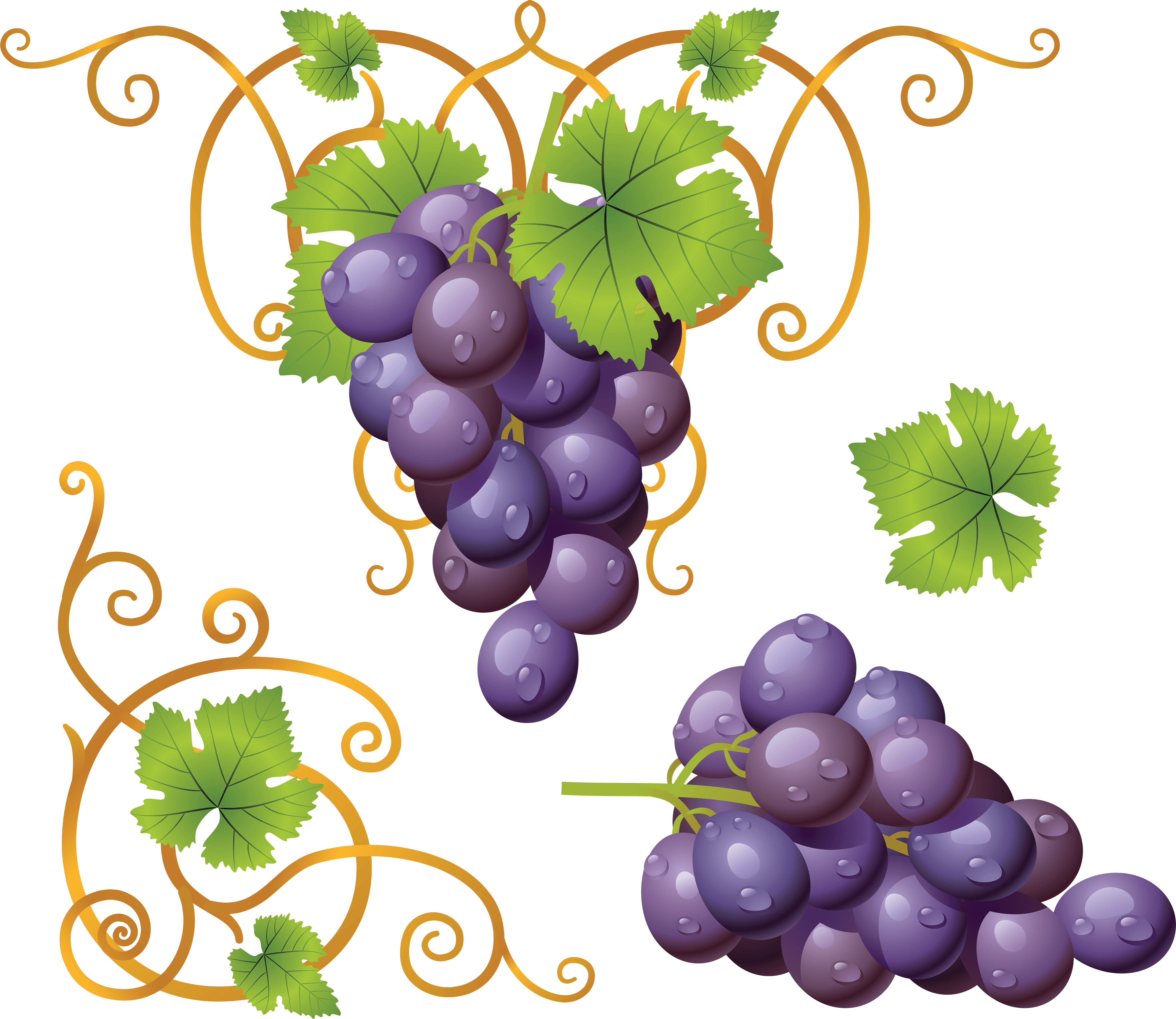 Grape Png Image Transparent PNG Image