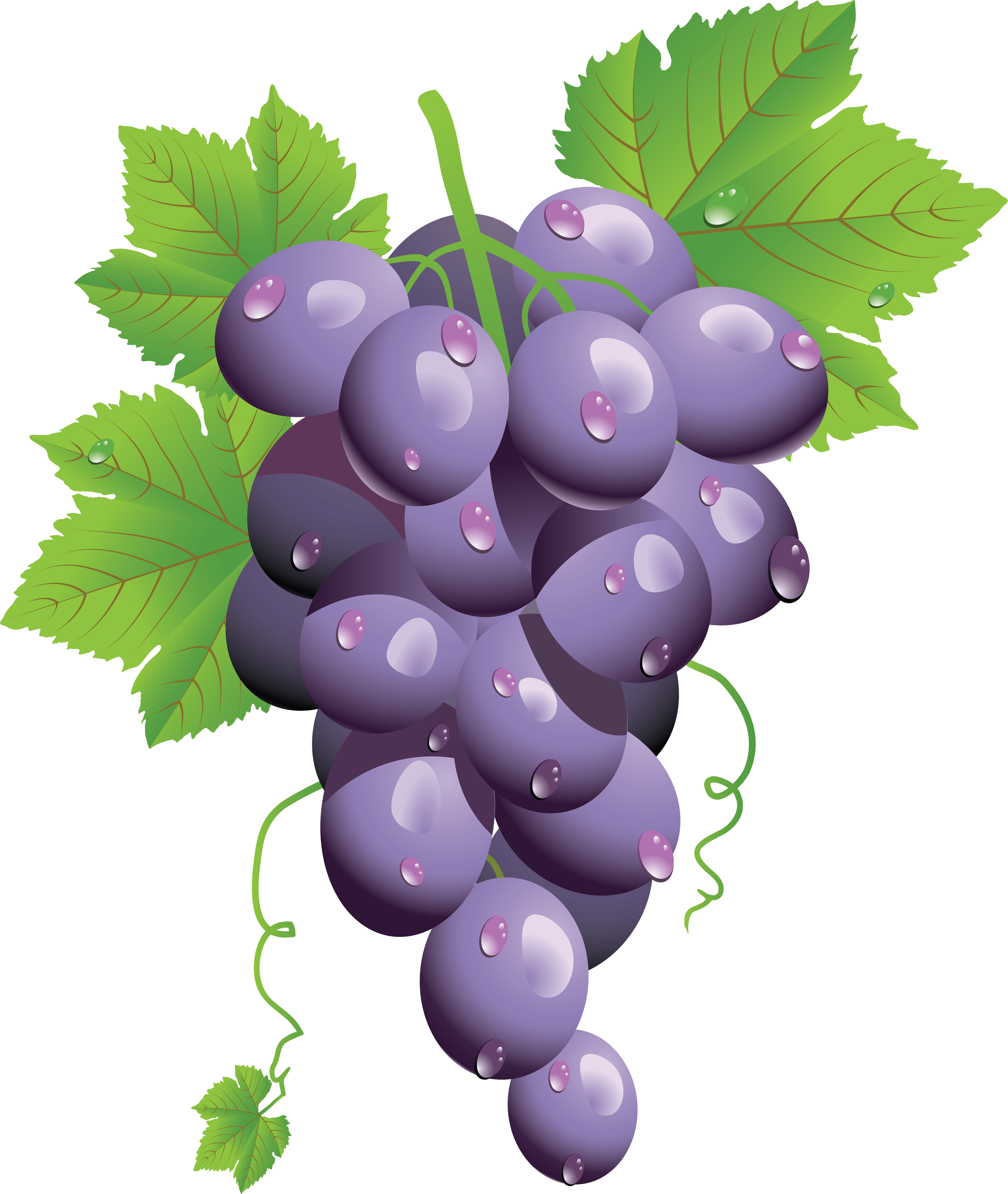 Grape Png Image Transparent PNG Image