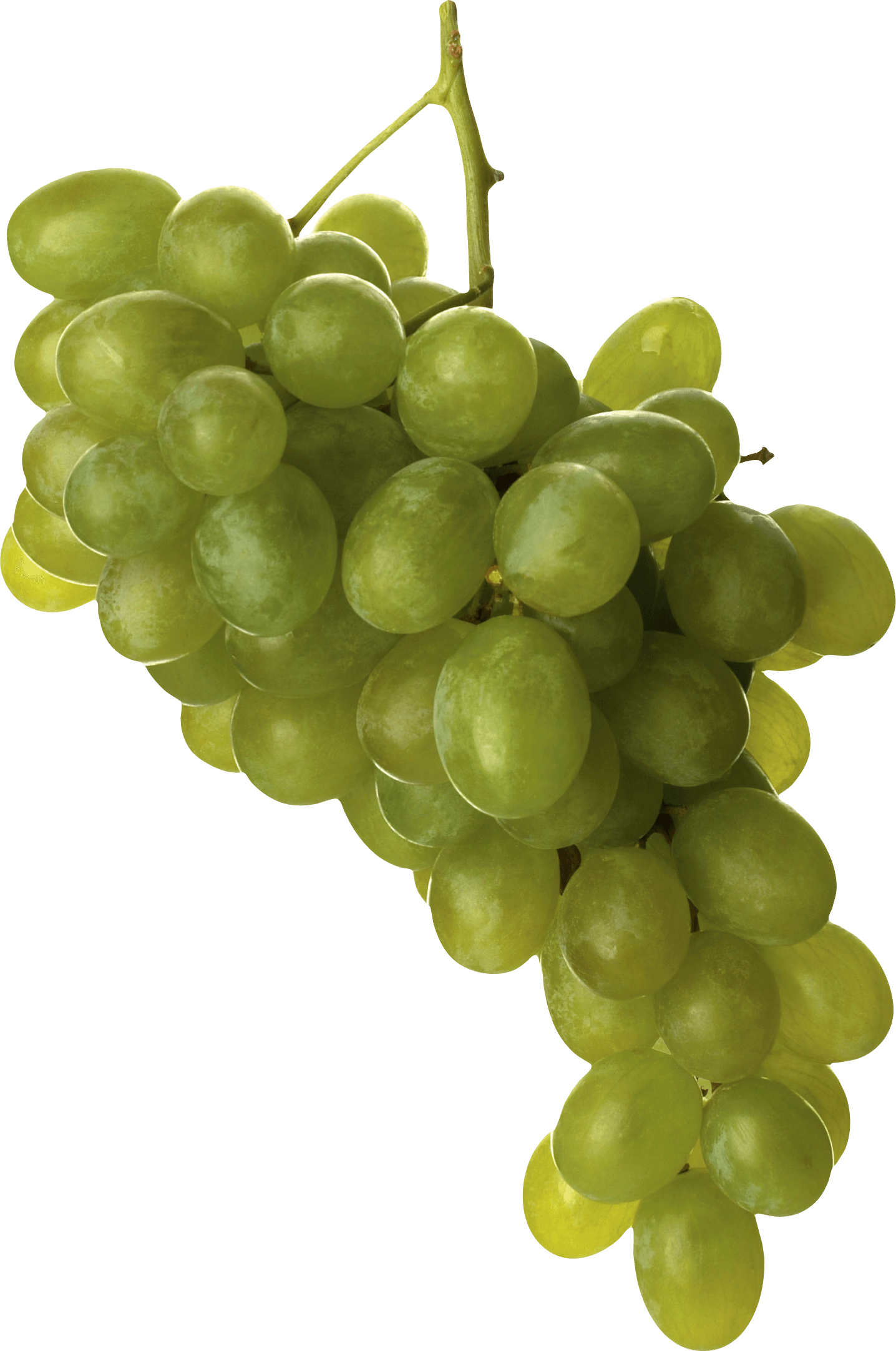 Green Grape Png Image Transparent PNG Image