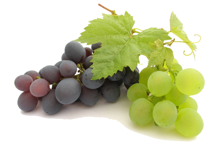 Grape Png File Transparent PNG Image