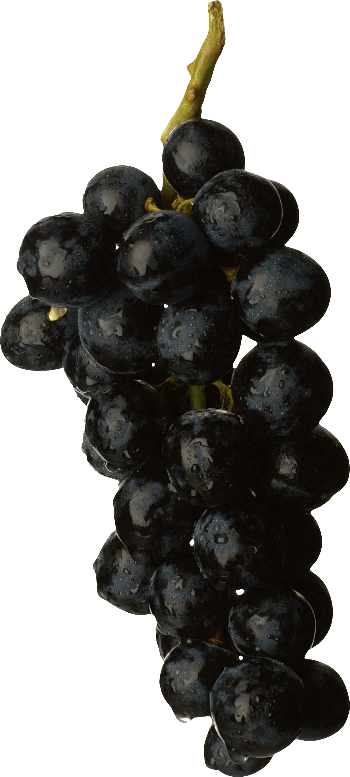 Black Grape Png Image Transparent PNG Image