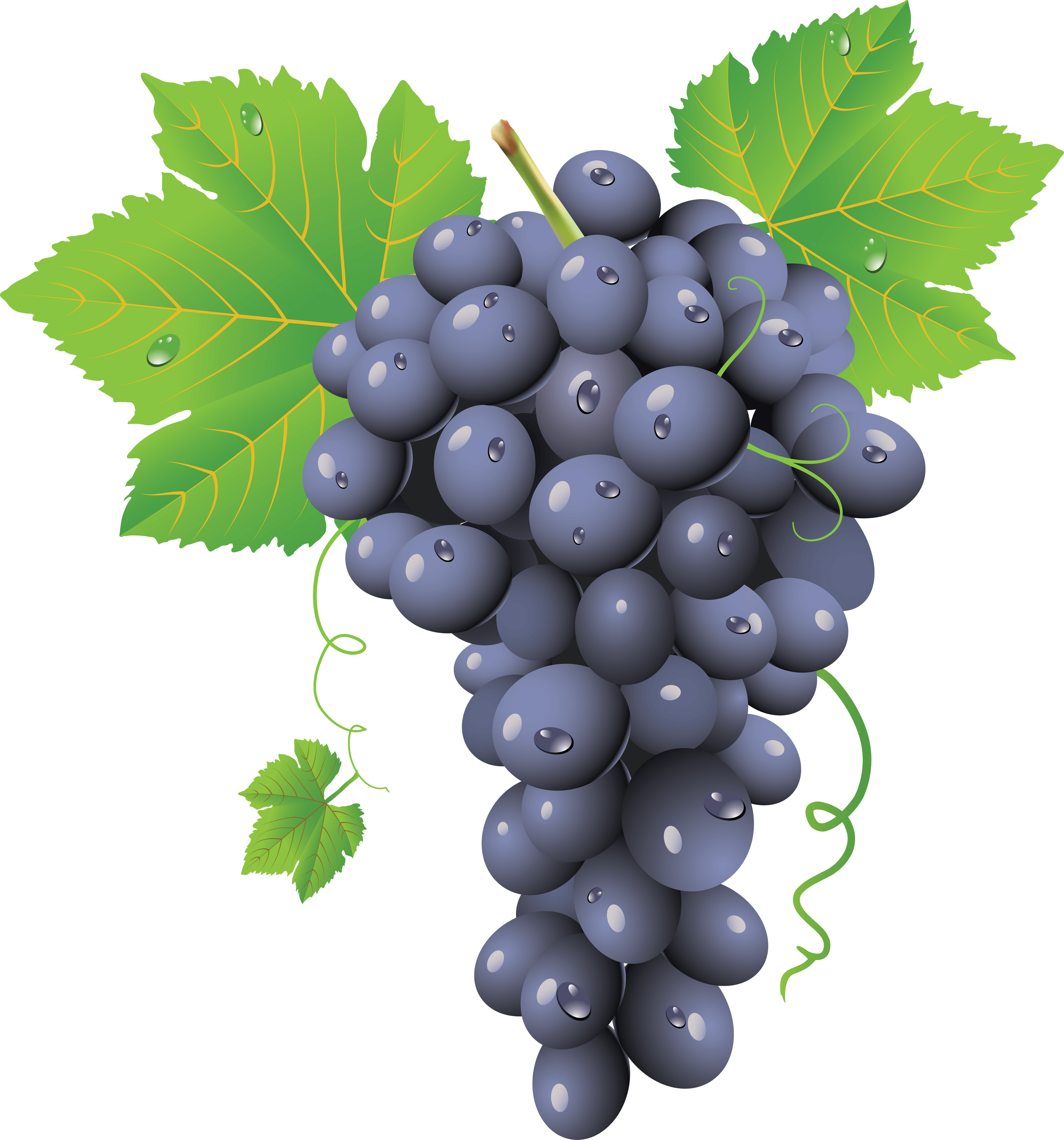 Grape Png Image Transparent PNG Image