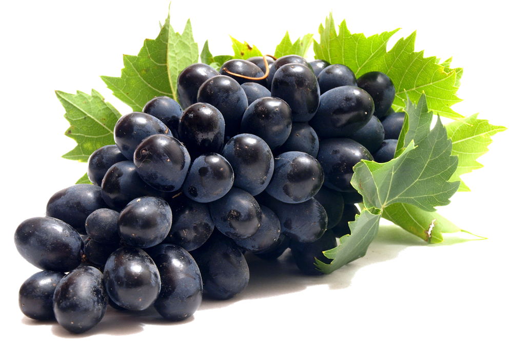 Grape Png Transparent PNG Image