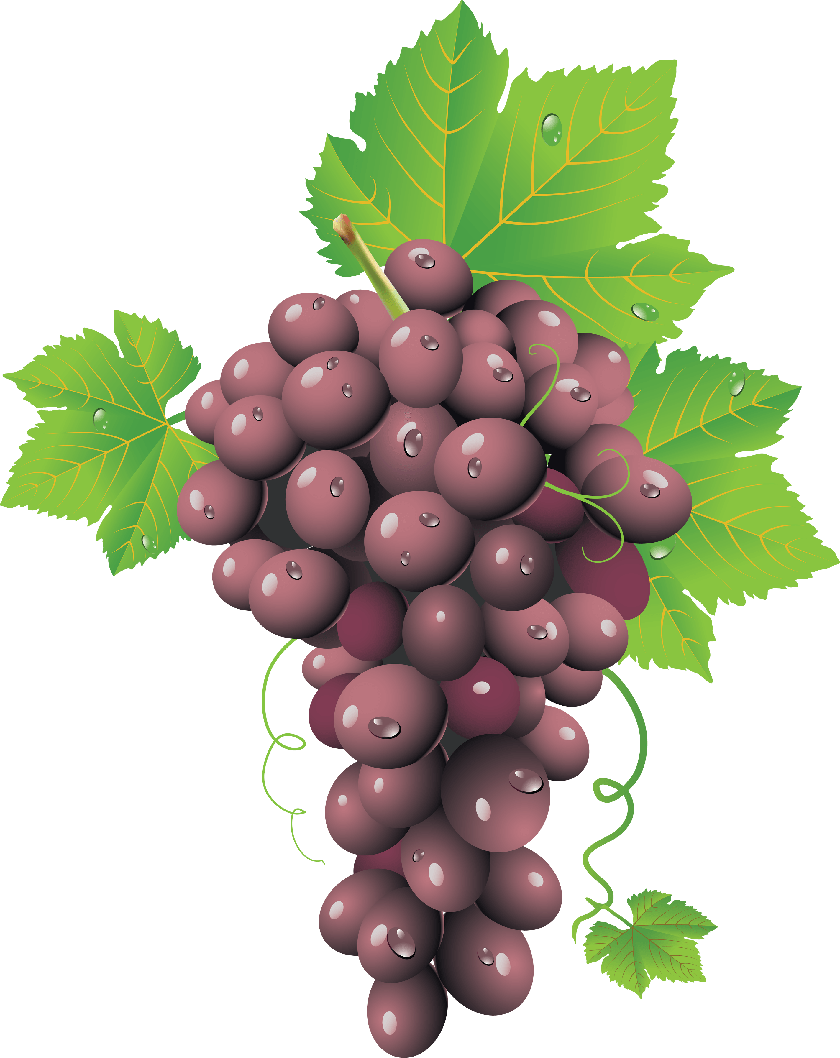 Red Grape Png Image Transparent PNG Image