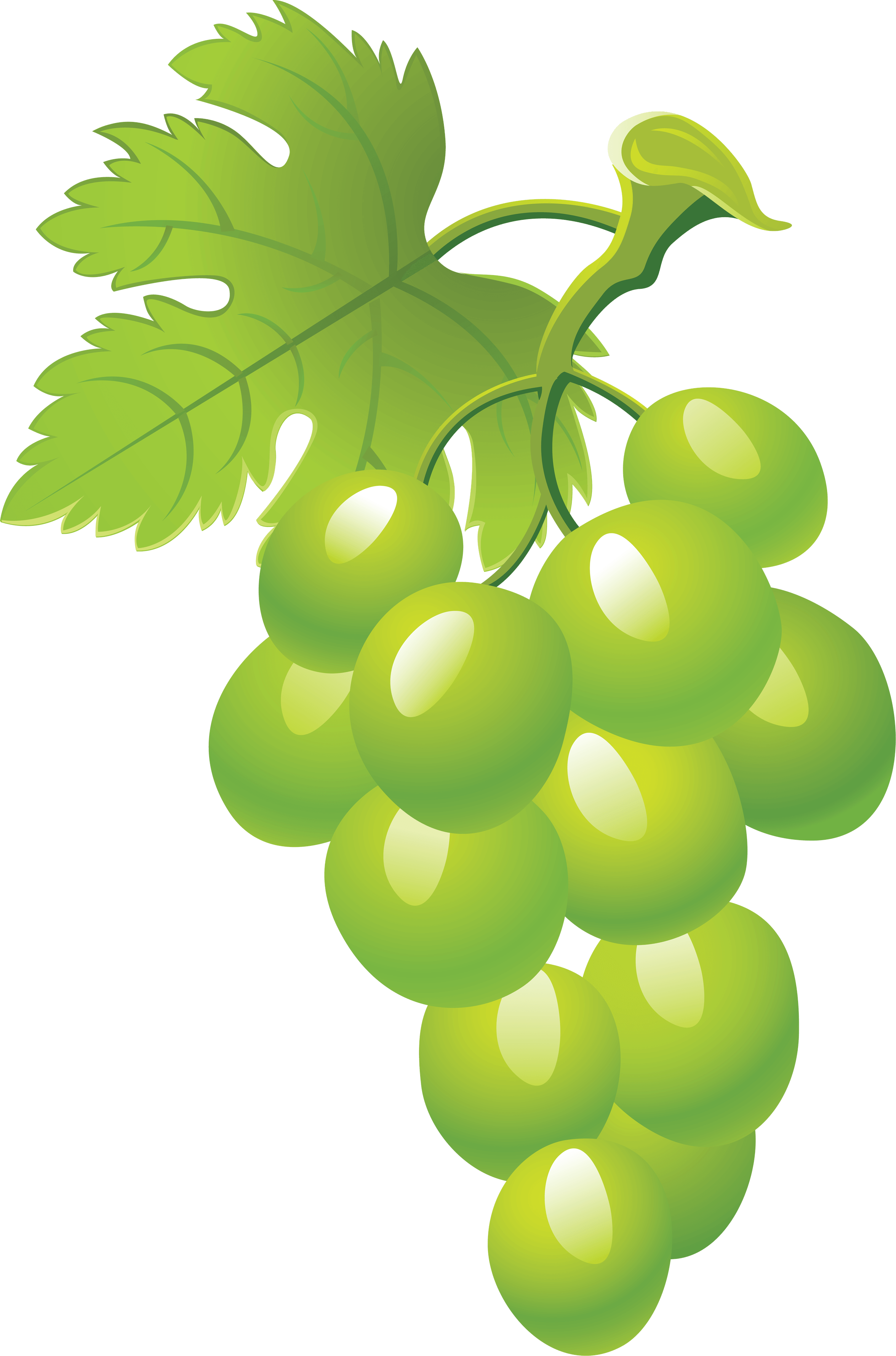 Green Grape Picture Png Image Transparent PNG Image