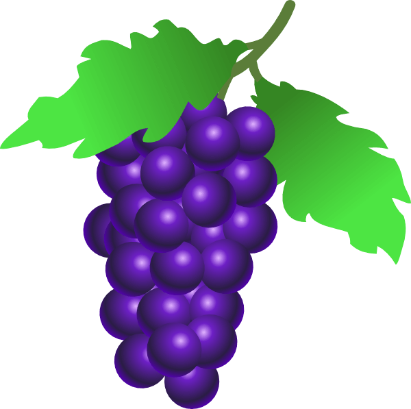 Grape Png Image Download Picture Transparent PNG Image