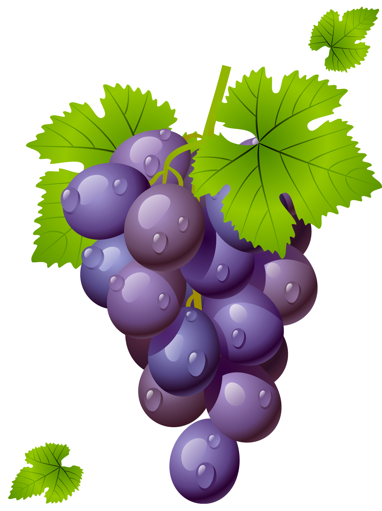 Grape Free Download Png Transparent PNG Image