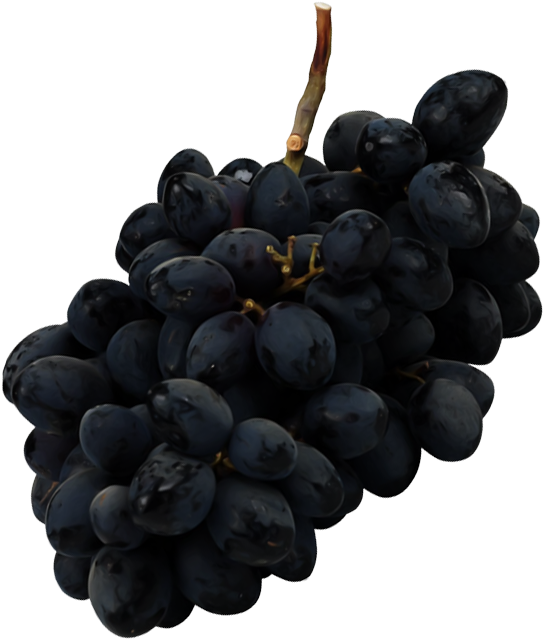 Black Grapes Bunch PNG Download Free Transparent PNG Image