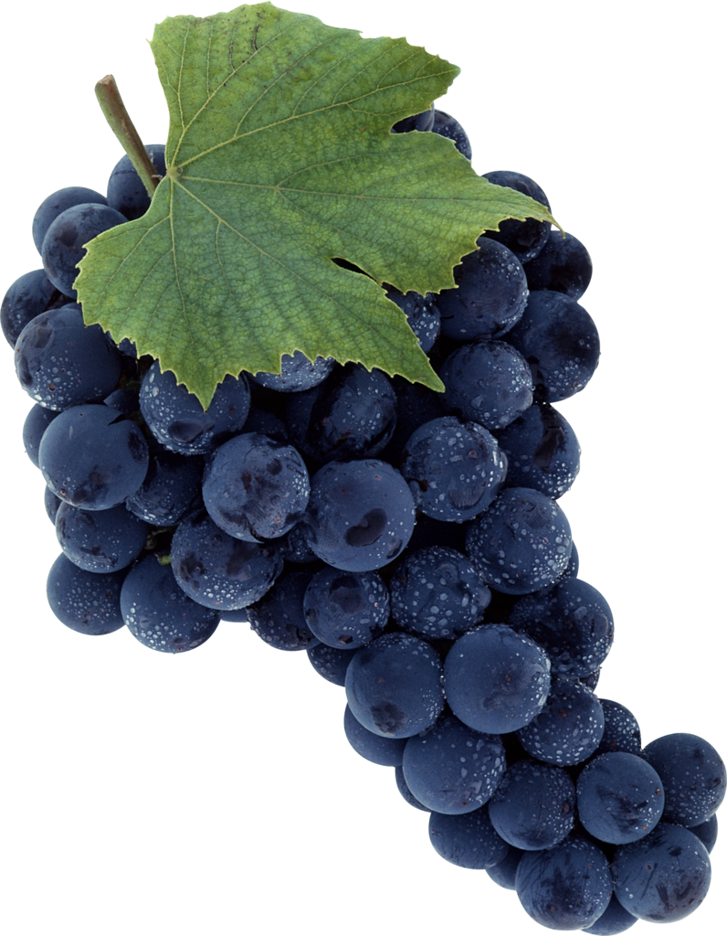 Leaves Black Grapes PNG File HD Transparent PNG Image