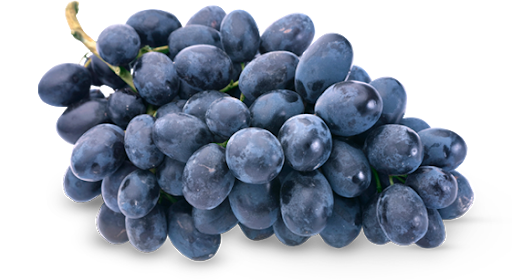 Seedless Black Grapes PNG Image High Quality Transparent PNG Image