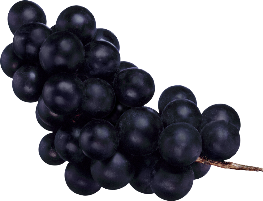 Fresh Black Grapes Bunch Free HD Image Transparent PNG Image