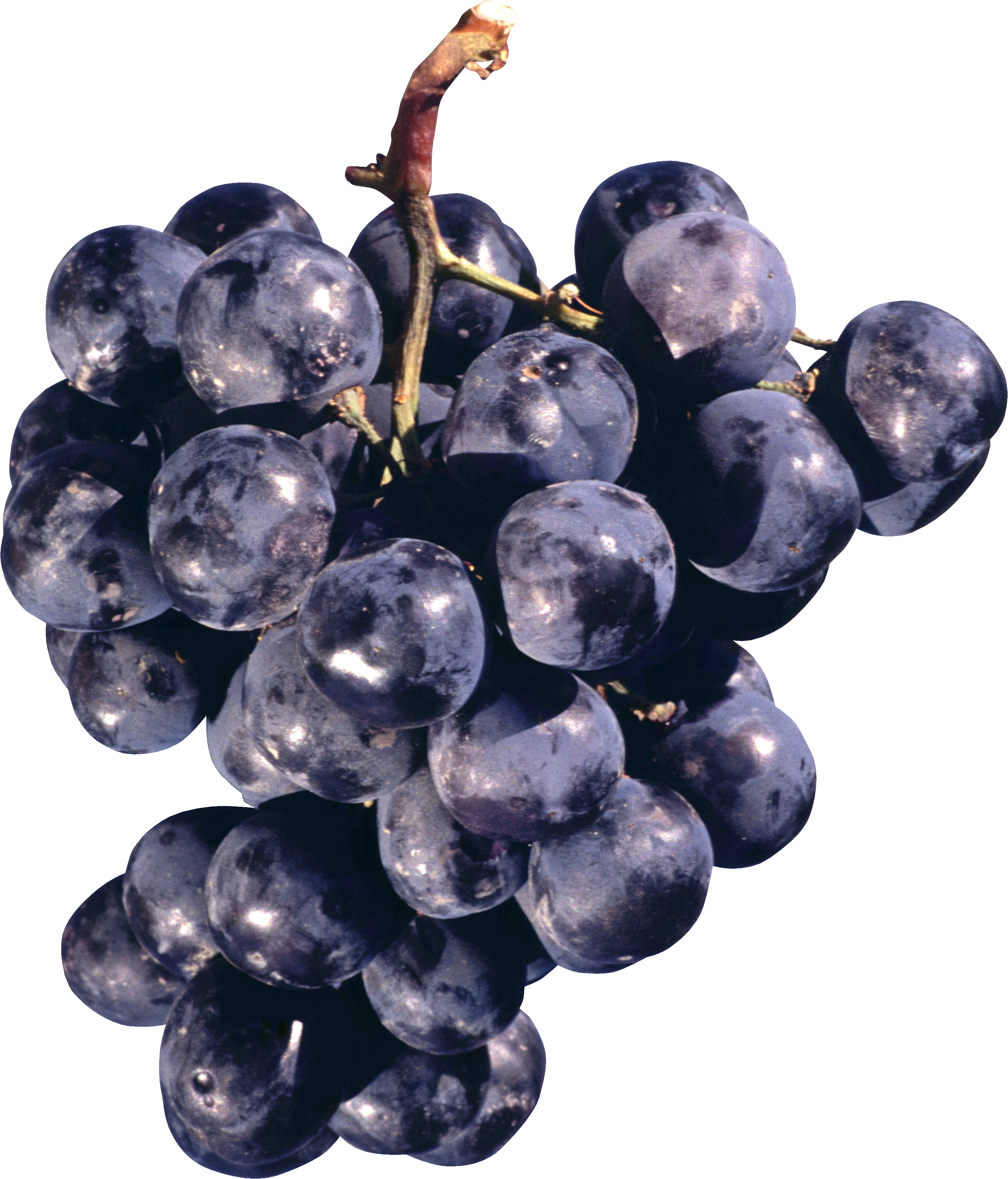 Black Organic Grapes Free Transparent Image HD Transparent PNG Image