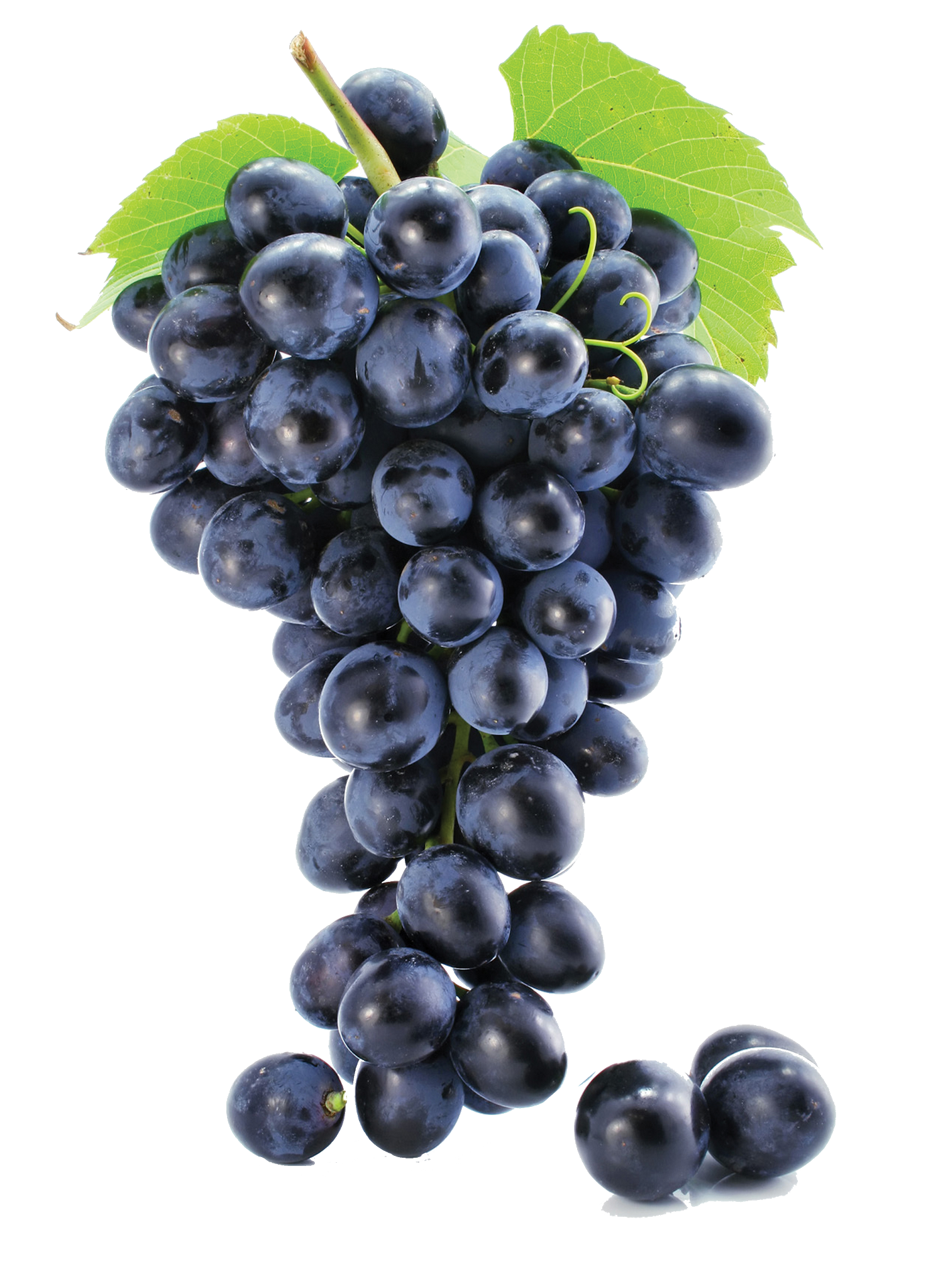 Seedless Black Grapes PNG Image High Quality Transparent PNG Image