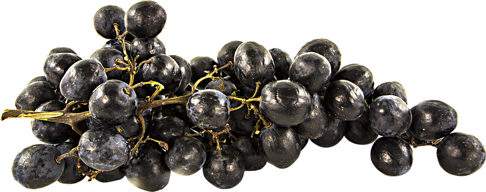 Black Grapes Free Clipart HQ Transparent PNG Image