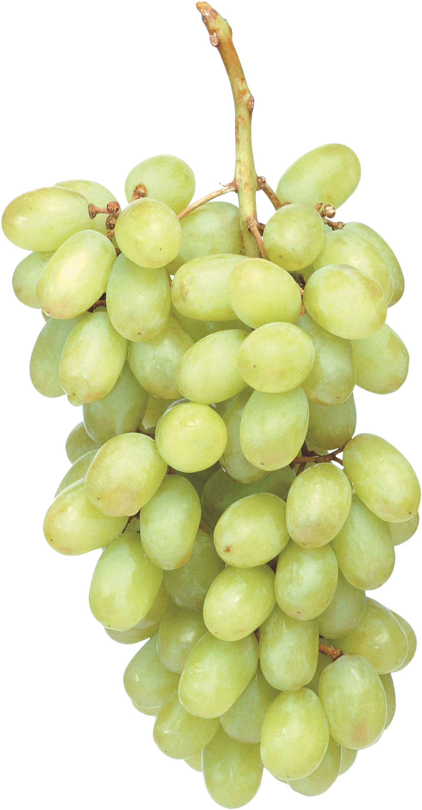 Fresh Green Grapes Photos Free Transparent Image HD Transparent PNG Image