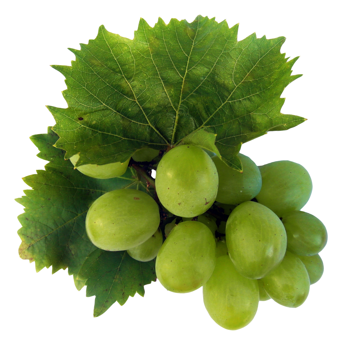 Fresh Green Grapes HD Image Free Transparent PNG Image