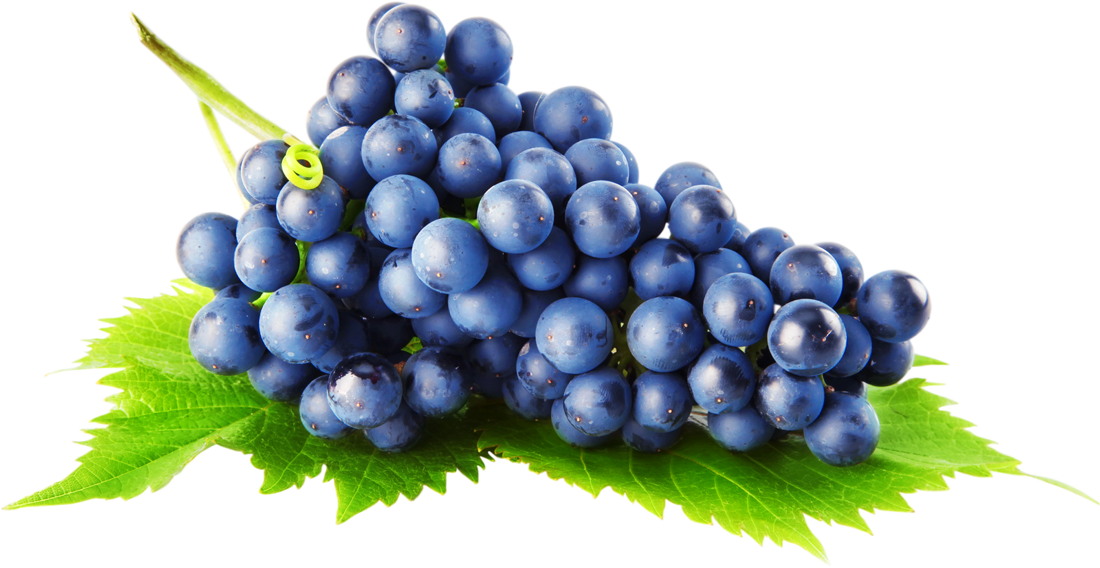 Grapes Free Clipart HD Transparent PNG Image