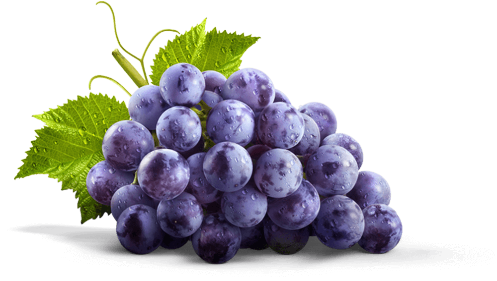 Photos Grapes Download Free Image Transparent PNG Image