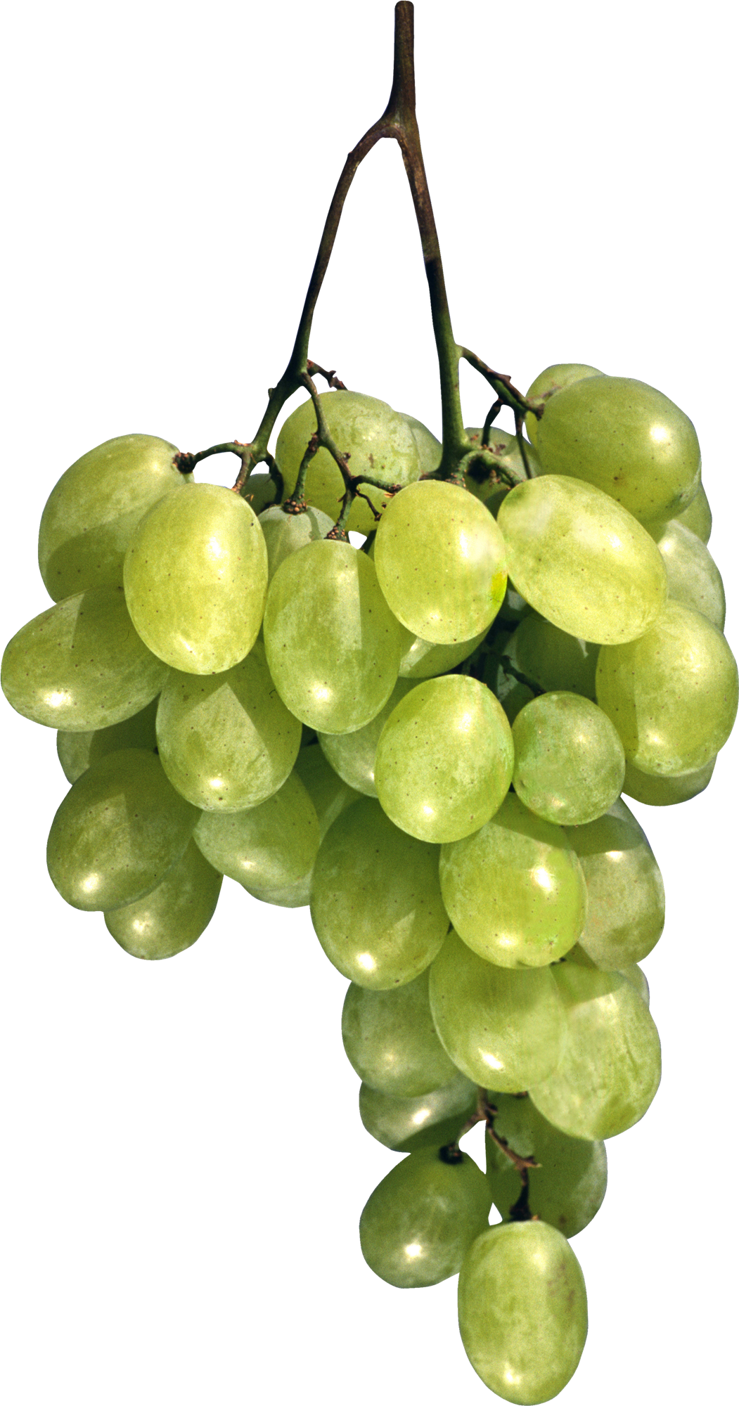 Green Grapes Free Photo Transparent PNG Image