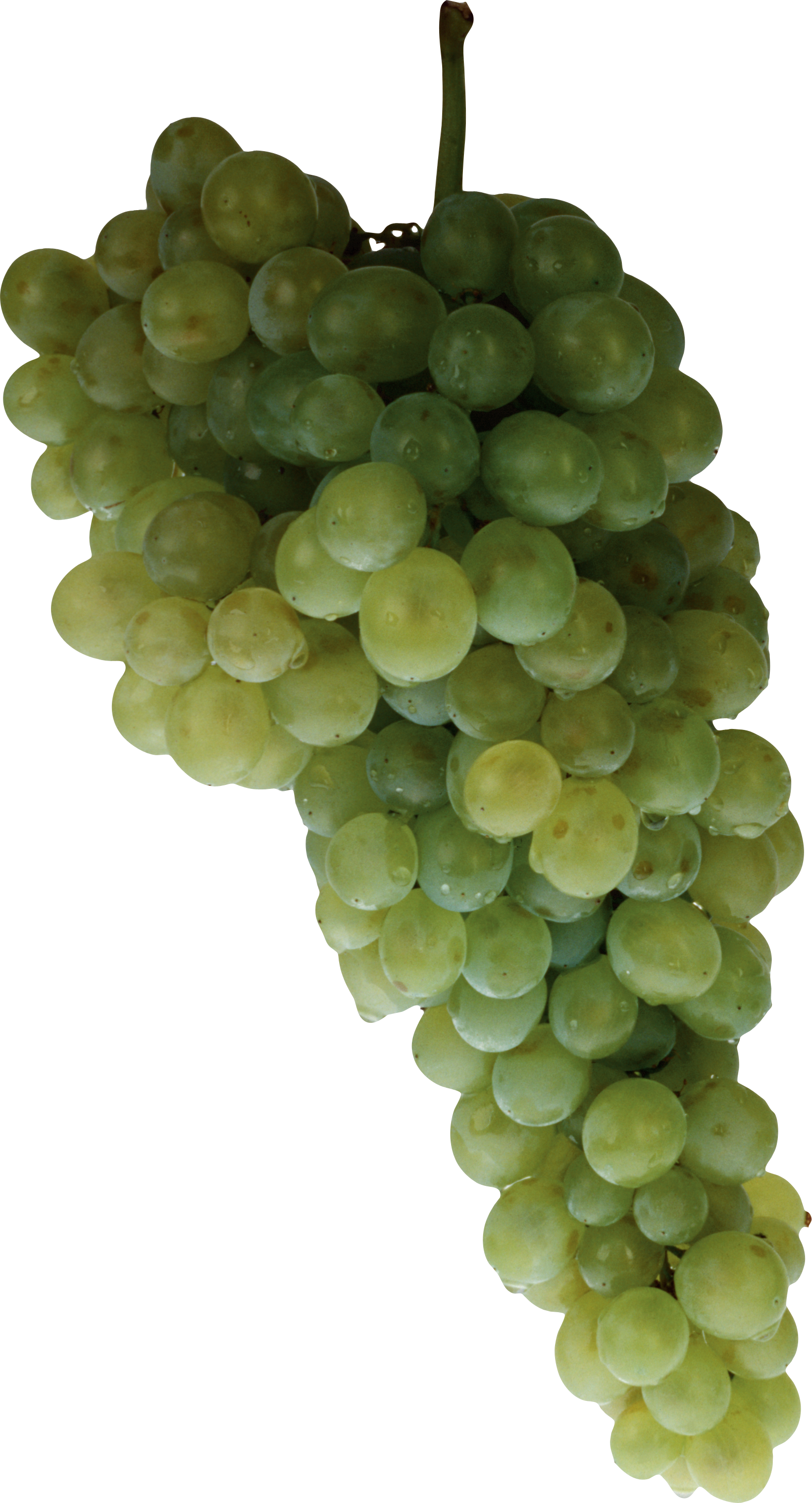 Photos Green Grapes Free Clipart HD Transparent PNG Image