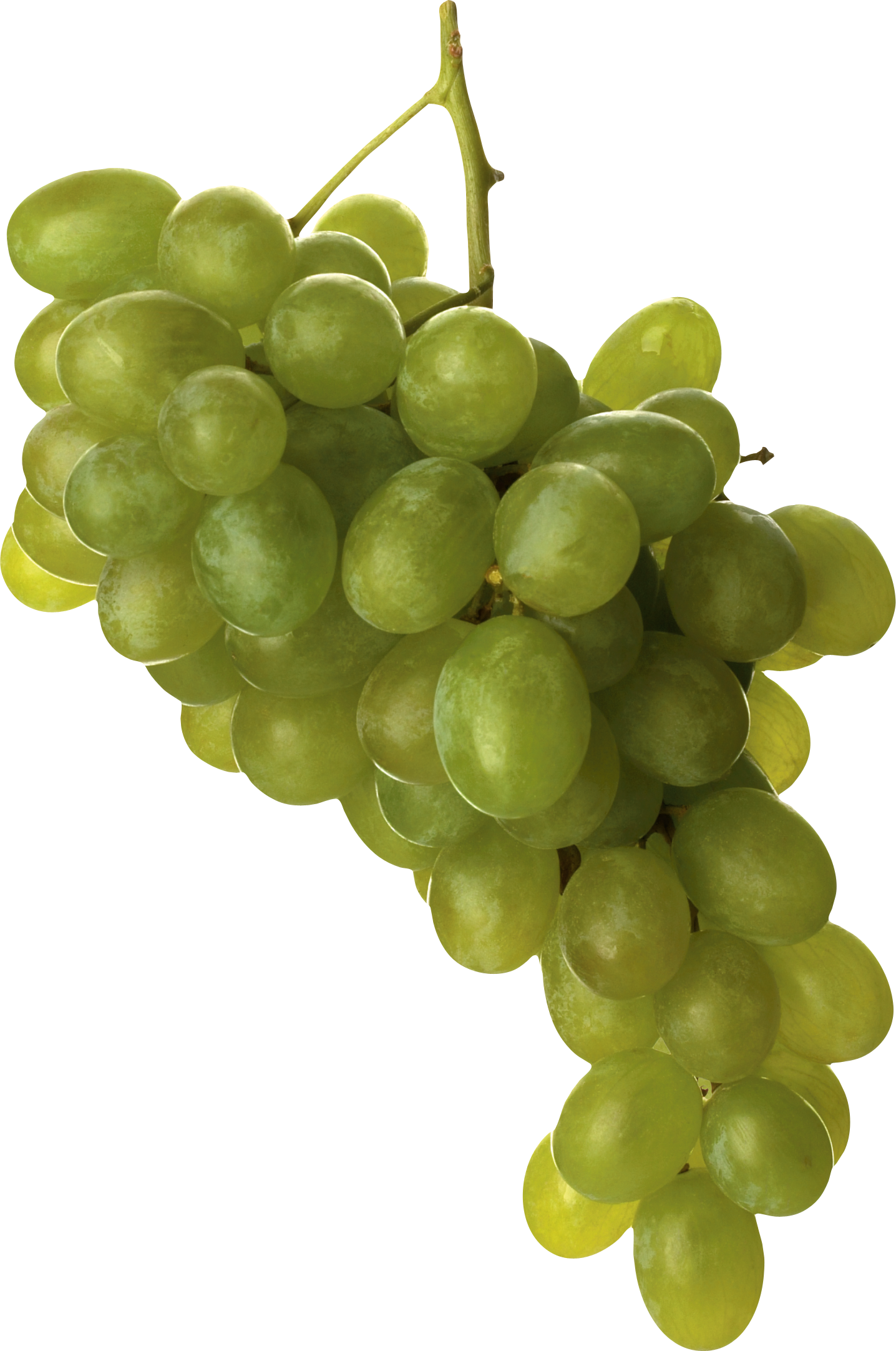 Green Grapes PNG Download Free Transparent PNG Image