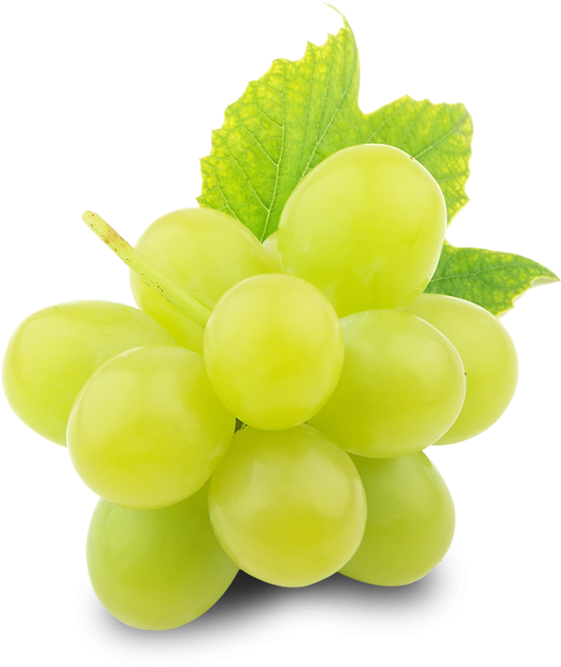 Green Organic Grapes PNG Image High Quality Transparent PNG Image