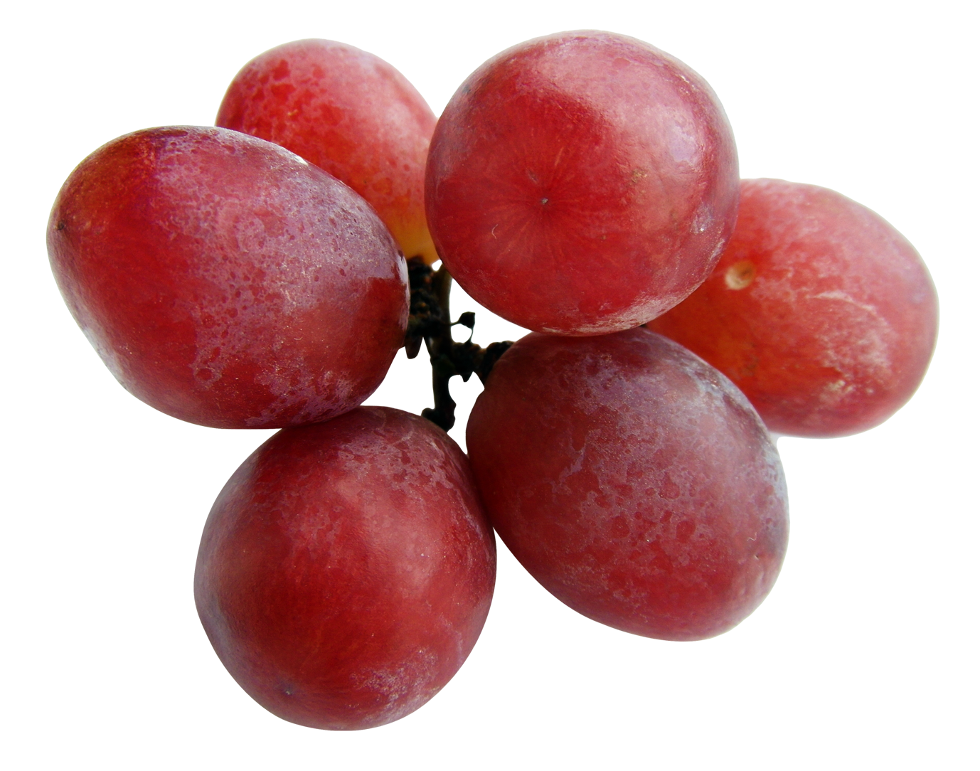 Grapes Red Download Free Image Transparent PNG Image