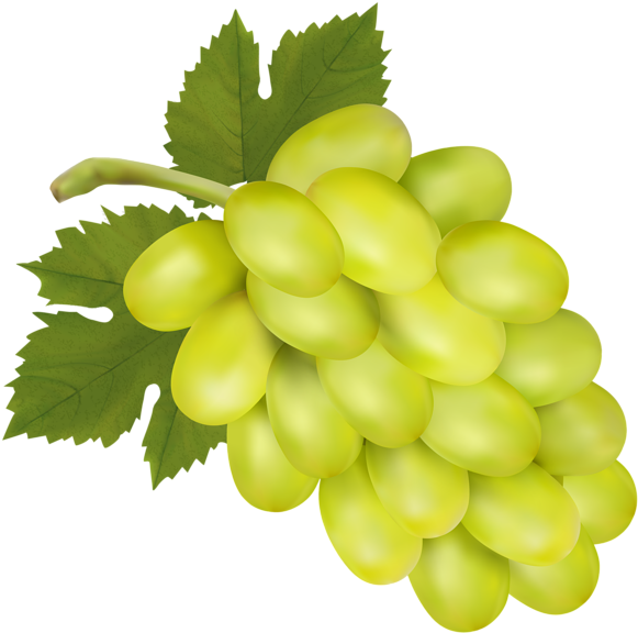 Vector Green Grapes PNG File HD Transparent PNG Image