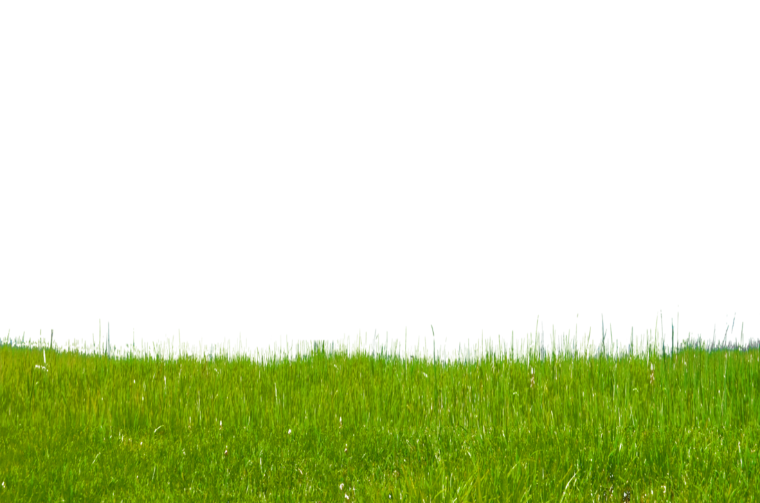 Grass Free Download Png Transparent PNG Image