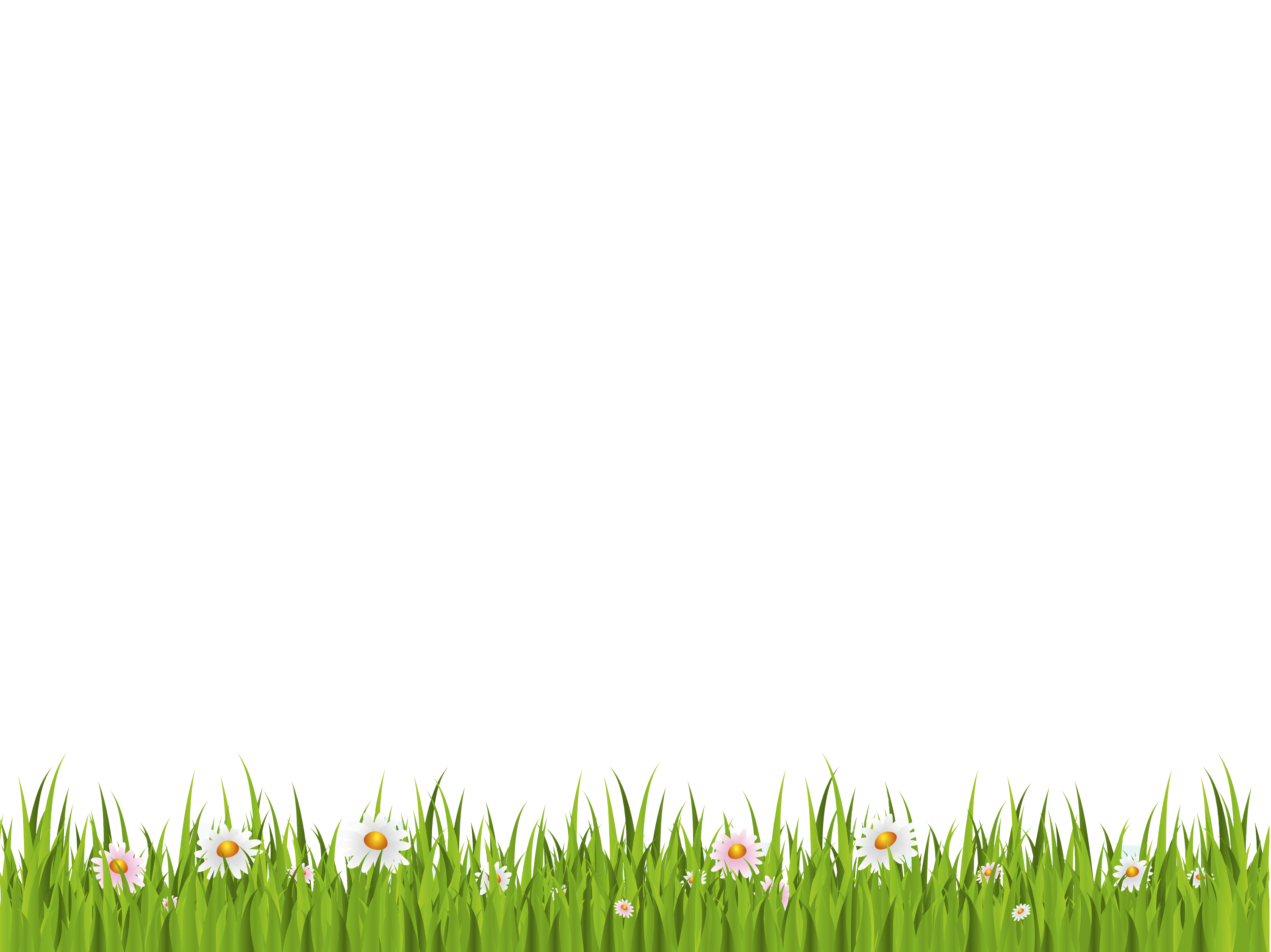 Grass Png Image Green Picture Transparent PNG Image