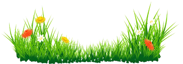 Grass Png Transparent PNG Image