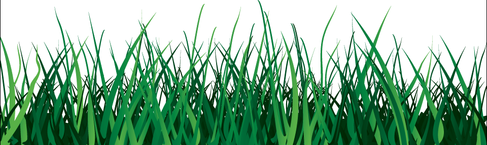 Grass Png Image Green Grass Png Picture Transparent PNG Image