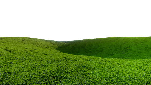 Field Grass Green Download HQ Transparent PNG Image