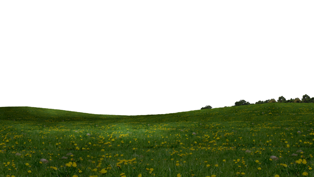 Field Grass Green Photos Free Transparent Image HQ Transparent PNG Image