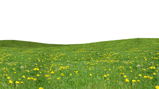 Field Grass Green Free Clipart HD Transparent PNG Image