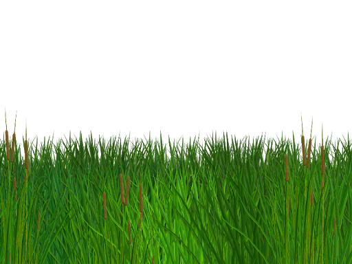 Field Grass Green Free Download Image Transparent PNG Image